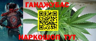 индика Ярцево