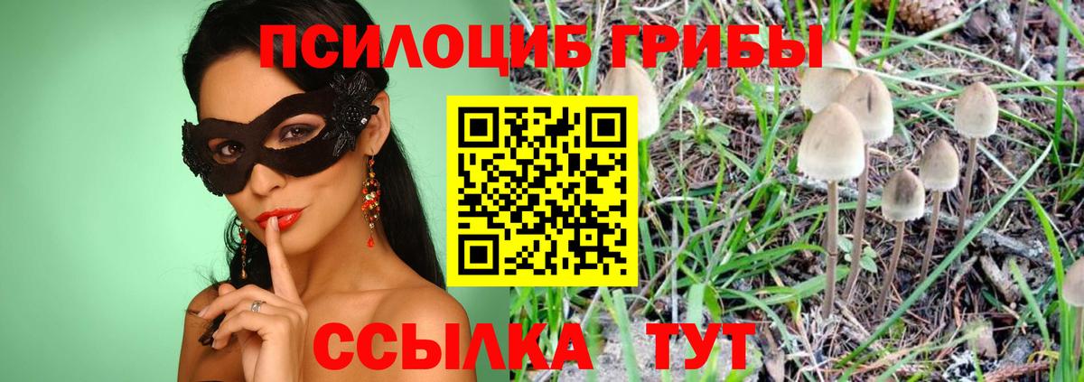 Псилоцибиновые грибы MAGIC MUSHROOMS  Галлюциногенные грибы Psilocybine cubensis  Вход с VPN  где продают наркотики  Красноуфимск 